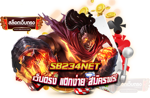 sb234net